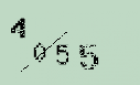 Captcha Image: you will need to recognize the text in it.