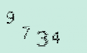 Captcha Image: you will need to recognize the text in it.