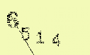 Captcha Image: you will need to recognize the text in it.